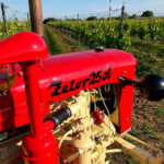 Velkeer - veterán