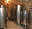 Frtus Winery