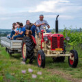 Velkeer - Popoludnie vo vinohrade