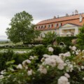 Danube Wine Challenge 2026
