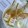 TOKAJ & CO reprezentovalo Slovensko v Piemont