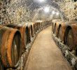 Tokaj&CO, s.r.o. Malá Tŕňa