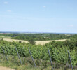 Vinárstvo Kozara