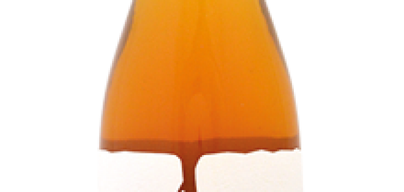 KV-magula-oranzovy-vlk-2019-orange