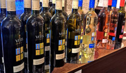 Vitis Pezinok