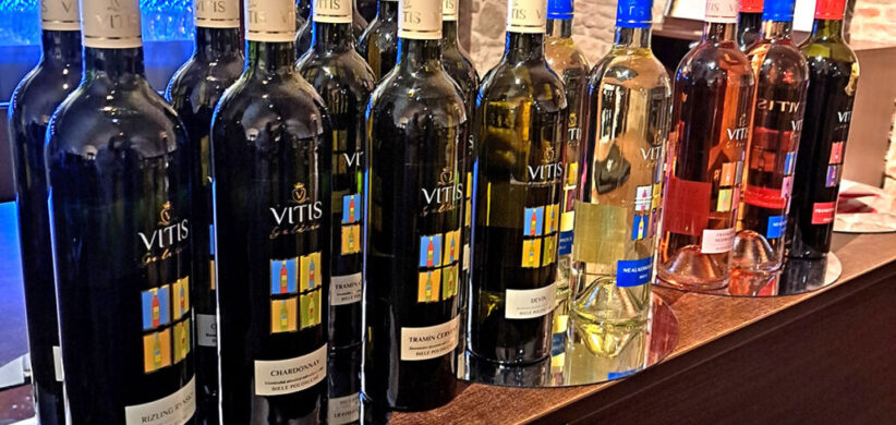 Vitis Pezinok
