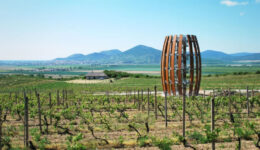 tokaj1