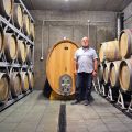 Bóna Winery, Bátorove Kosihy